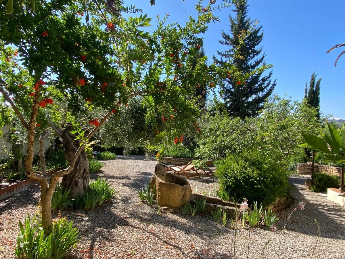 Beautiful Country House Near Ronda Arriate Exterior photo