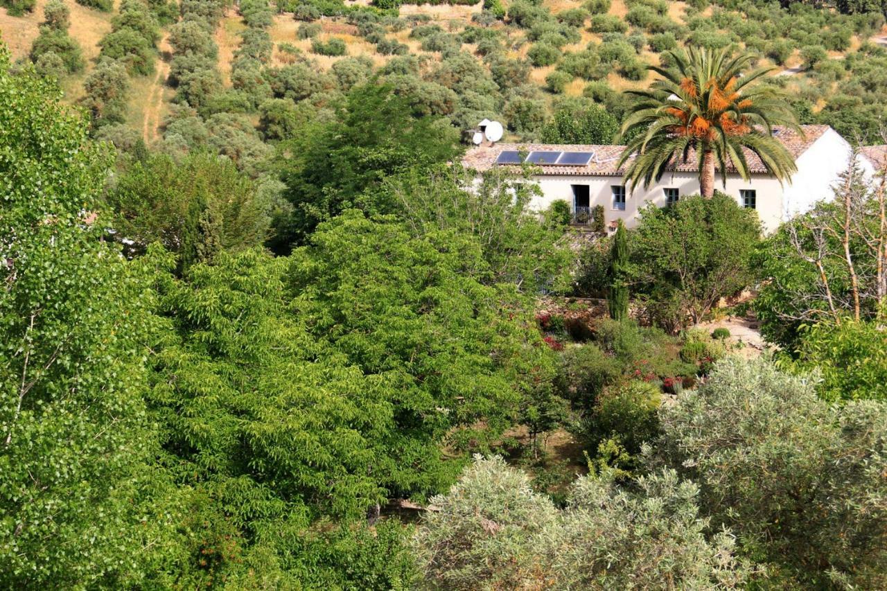 Beautiful Country House Near Ronda Arriate Exterior photo